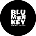Blu Monkey Hostel (Samkong Branch)